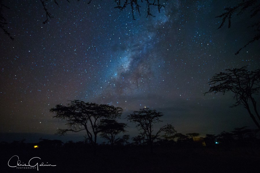 A picture of the Milky Way over the African Savannah